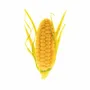 Kitchen utensils - PANNOCCHIA 20 - SILICONE MOULD N.12 PANNOCCHIE 68X26 H21 MM - SILIKOMART S.R.L.