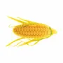 Kitchen utensils - PANNOCCHIA 20 - SILICONE MOULD N.12 PANNOCCHIE 68X26 H21 MM - SILIKOMART S.R.L.