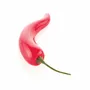 Ustensiles de cuisine - PEPERONCINO 13 - MOULE EN SILICONE N.12 PIMENTS 91X31 H16 MM - SILIKOMART S.R.L.