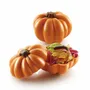 Ustensiles de cuisine - PUMPKIN - THERMOFORMÉ MOULES KIT POUR CHOCOLATE 248X148 H56 MM - SILIKOMART S.R.L.