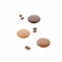 Ustensiles de cuisine - CH027 - DEGUSTA01 P - TRITAN MOULE N.15 ø35 H 5 MM - SILIKOMART S.R.L.