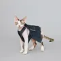 Pet accessories - Okayama / Denim Dungaree Dress - MOMOTONE