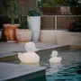 Éclairage nomade - Lampe Duck Duck XL (54cm) - GOODNIGHT LIGHT