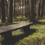 Benches - BELVEDERE - topographic bench - DOLOMITISCH SRL