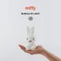 Children's lighting - Bundle of Light Miffy - STEMPELS ET CO