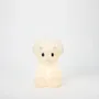 Children's lighting - First Light Giants : Triceratops - STEMPELS ET CO