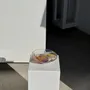 Plats et saladiers - Coupe en verre soufflé rose contemporaine Carlos Vieira D21 - OFFICE OBJETS