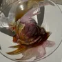 Plats et saladiers - Coupe en verre soufflé rose contemporaine Carlos Vieira D21 - OFFICE OBJETS