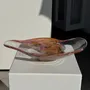 Plats et saladiers - Longue coupe en verre soufflé rose contemporaine Carlos Vieira L32 - OFFICE OBJETS