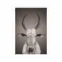 Art photos - NO-MAD Nandi Portrait Canvas Wall Art - NO-MAD