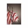 Art photos - NO-MAD Nandi Portrait Canvas Wall Art - NO-MAD