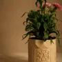 Bougies - FIGUE D'OSMANTHUS - BOUGIE PARFUMÉE - FLAMME D'ÉLIXIR