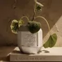 Diffuseurs de parfums - CARDAMOME AU SAFRAN - DIFFUSEUR DE PARFUM - FLAMME D'ÉLIXIR