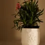 Objets design - BOUGIE PARFUMÉE AU JASMIN ET À L'ABRICOT - FLAMME D'ÉLIXIR