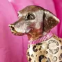 Decorative objects - Dog figurine Bodo - WERNER VOSS