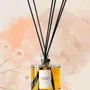 Decorative objects - Scented Diffuser - Alabaster - ODORE SCOLA