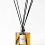 Decorative objects - Scented Diffuser - Alabaster - ODORE SCOLA