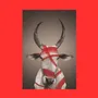 Photos d'art - NO-MAD Nandi Portrait Canvas Wall Art - NO-MAD