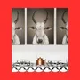 Photos d'art - NO-MAD Nandi Portrait Canvas Wall Art - NO-MAD