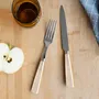 Flatware - 4 pieces cutlery set - Icône, Pearl - SABRE PARIS