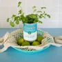 Accessoires de déco extérieure - kit à semer "soupe de Coriandre" Fabriqué en France - MAUVAISES GRAINES