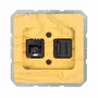 Office design and planning - 2 x Modular jack socket - WEMEL WOOD