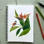 Stationery - Notebook - L'Oiseau de Paradis - POP ET SES FRÈRES