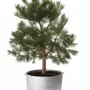 Flower pots - LINEA - KORBO