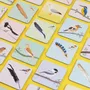 Jeux enfants - JEUX - PIROUETTE CACAHOUETE