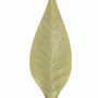 Candles - FEUILLES DE CIRE REFILL CANDLES - CERABELLA SL