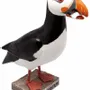 Sculptures, statuettes et miniatures - Macareux moine en bois, 24 cm (UV2) - TRADE WINDS