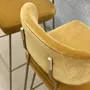 Tabourets pour collectivités - Tabouret de Bar Apollo Structure en Fer Laqué Noir avec Détails en Laiton Brossé - DUISTT