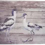 Tableaux - Tableau avocettes élégantes sur base bois (pin) - dim. 33x25 cm - TRADE WINDS