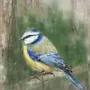 Tableaux - Tableau mésange bleue sur base bois - 33 x 25 cm (pin) - TRADE WINDS