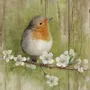 Tableaux - Tableau rouge gorge sur base bois 33x25cm (pin) - TRADE WINDS