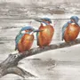 Paintings - Kingfisher wooden frame, (UV=8 pcs), dim. 13”x 9”5/6 - TRADE WINDS