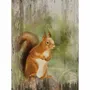Tableaux - Tableau écureuil sur base bois - 33 x 25 cm - TRADE WINDS