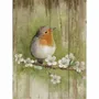 Tableaux - Tableau rouge gorge sur base bois 33x25cm (pin) - TRADE WINDS