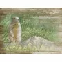 Tableaux - Tableau marmotte sur base bois 33x25 cm (pin) - TRADE WINDS