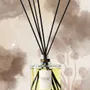 Diffuseurs de parfums - Recharge bouquet parfumé Balsamum - ODORE SCOLA