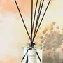 Diffuseurs de parfums - Recharge bouquet parfumé Cicimandrum - ODORE SCOLA