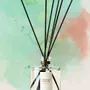 Diffuseurs de parfums - Recharge bouquet parfumé Solanum - ODORE SCOLA