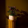 Objets de décoration - RANGEMENTS ARTISANAUX EN FEUTRE - MUSKHANE
