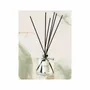 Scent diffusers - Bouquet parfumé Eau du jardin des plantes - ODORE SCOLA