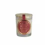 Candles - NUMBERS COLLECTION NUM.21 RHUBARB & LEAVES PACK OF 9 - CERABELLA SL