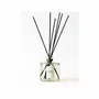 Scent diffusers - Bouquet parfumé Balsamum - ODORE SCOLA