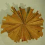 Tables basses - Child Unfriendly Coffee Table - NICK VAN NECHEL