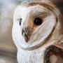 Objets de décoration - DecoBird Effraie des clochers - WILDLIFE GARDEN