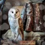 Objets de décoration - DecoBird Effraie des clochers - WILDLIFE GARDEN