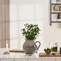 Objets de décoration - Collection de Céramique Avignon - IB LAURSEN